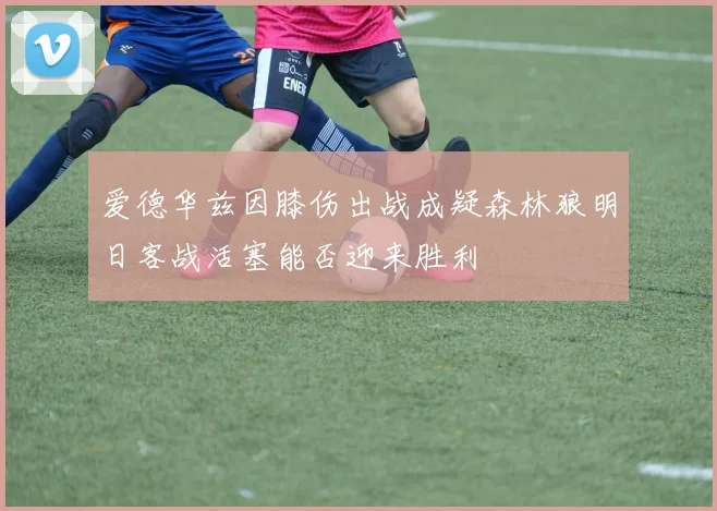 爱德华兹因膝伤出战成疑森林狼明日客战活塞能否迎来胜利